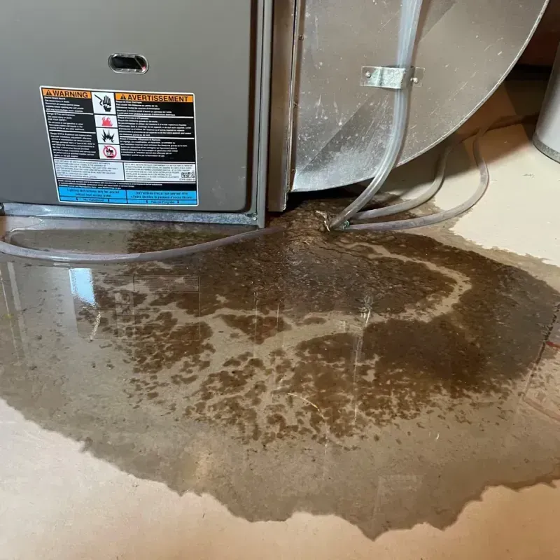 Appliance Leak Cleanup in Montgomery County, TN